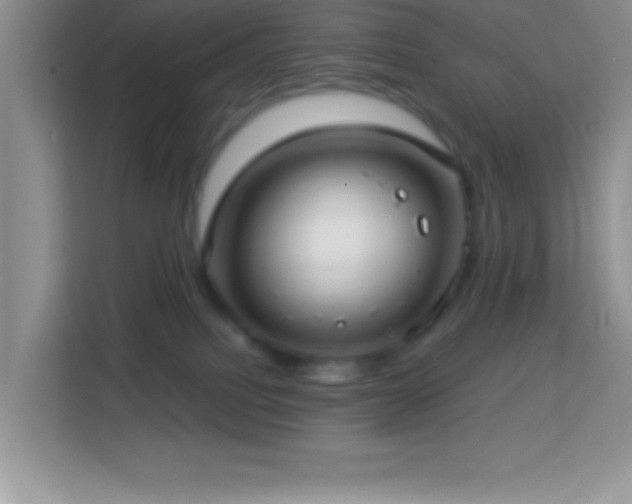 X0000114160088200910081402