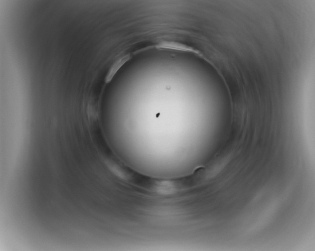 X0000114160091200910081402