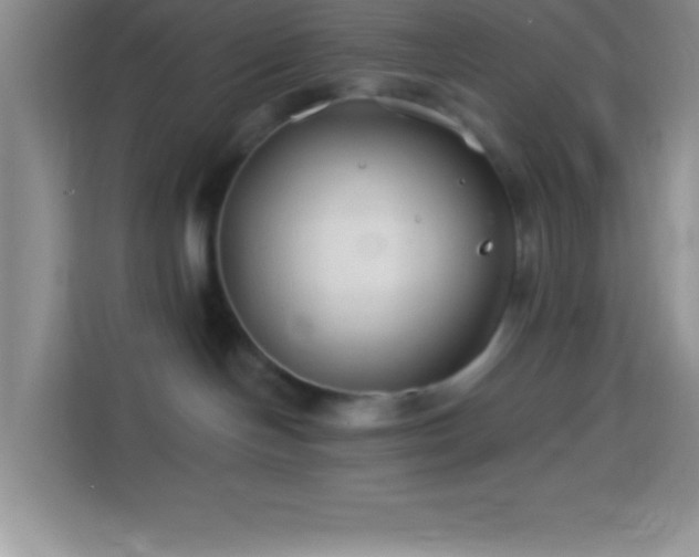 X0000114160094200910081402