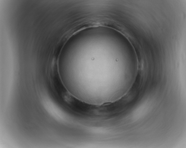 X0000114160095200910081402