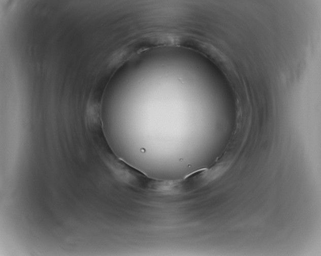 X0000114160096200910081402