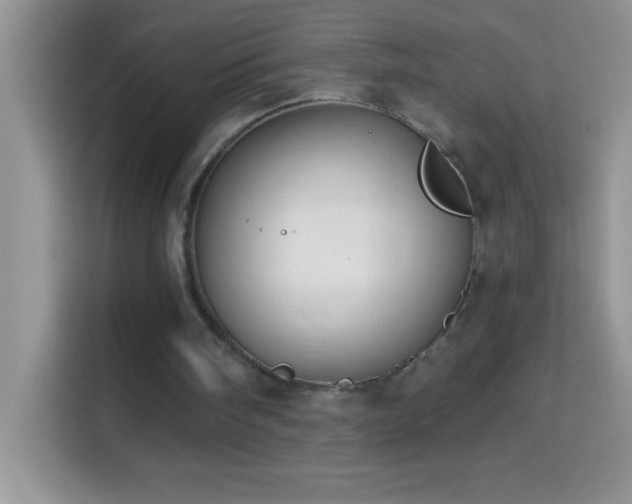 X0000114160098200910081401