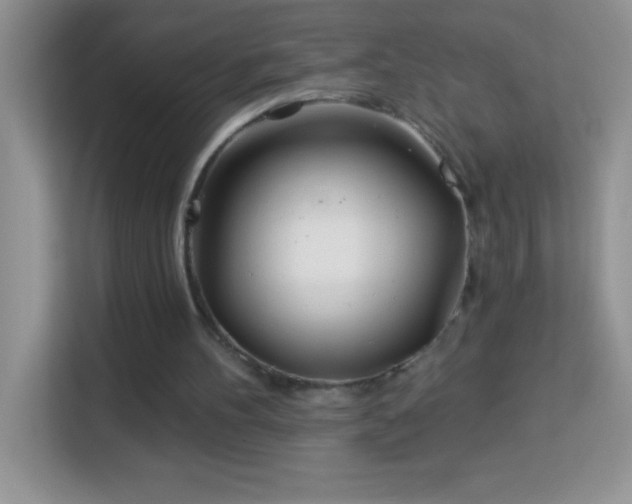 X0000114160100200910081401