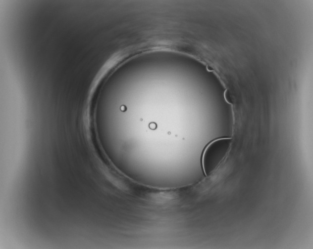 X0000114160102200910081401