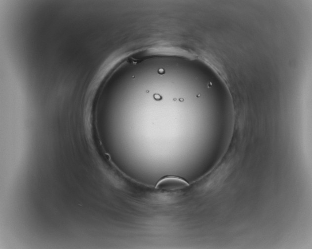 X0000114160103200910081401