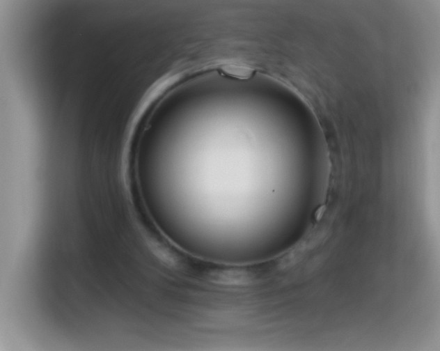 X0000114160104200910081401