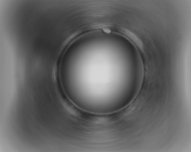 X0000114160107200910081401