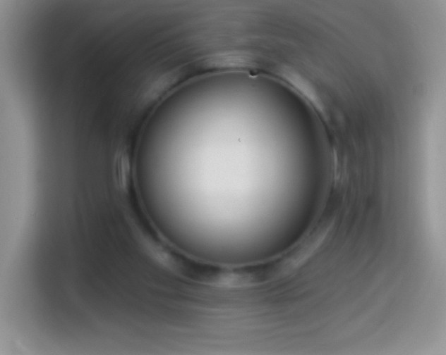 X0000114160109200910081401