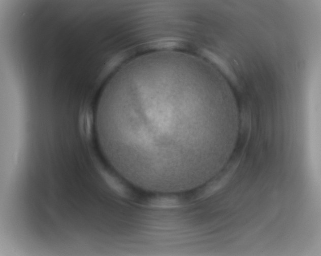 X0000114160110200910081401