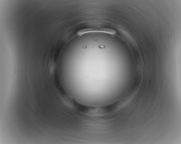 X0000114160125200910081401