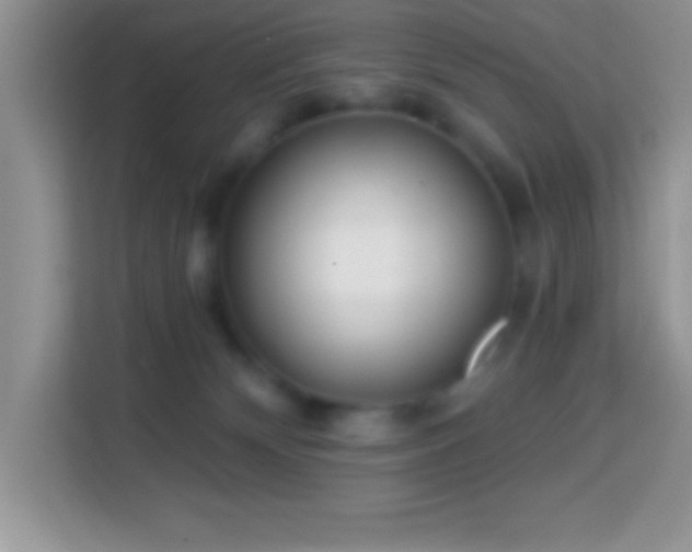 X0000114160132200910081401