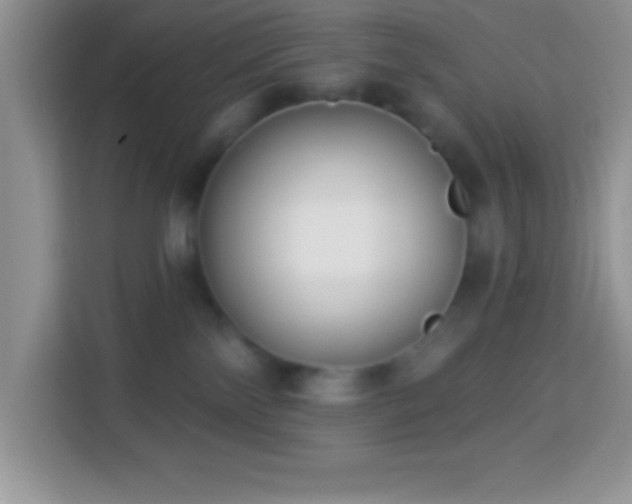 X0000114160138200910081401