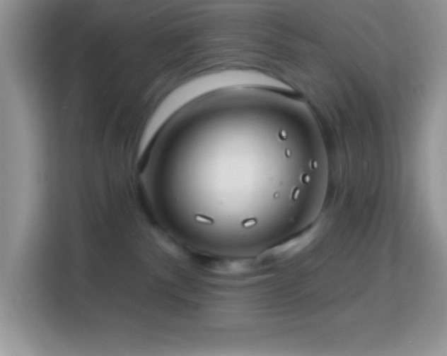 X0000114160140200910081401