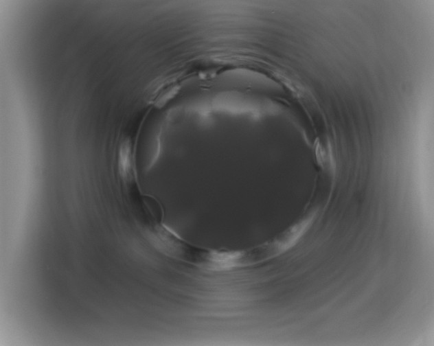 X0000114160143200910081401