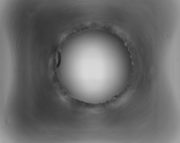 X0000114160144200910081401