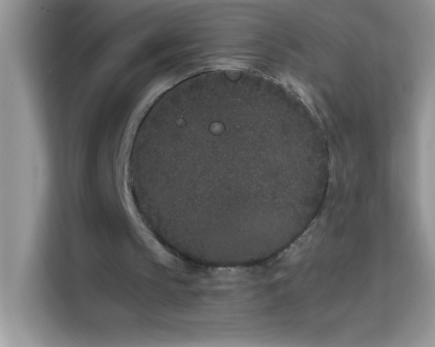 X0000114160145200910081400