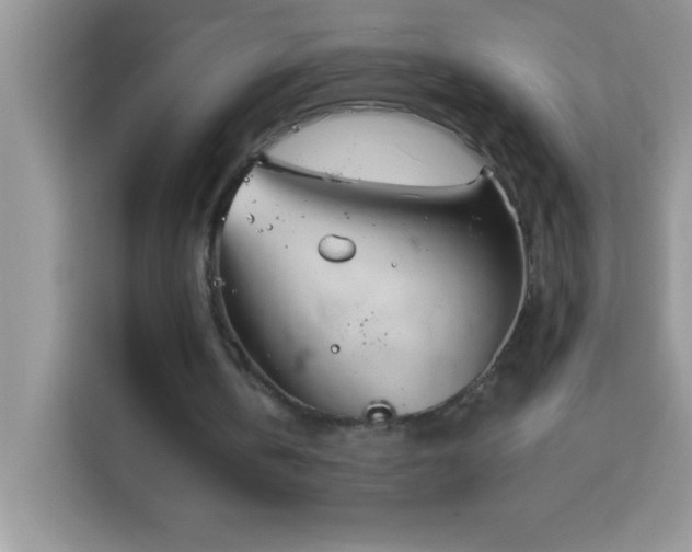 X0000114160146200910081400