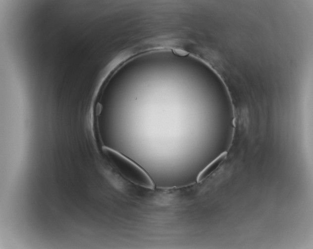 X0000114160148200910081400