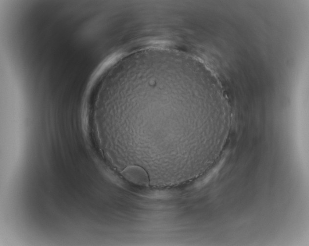 X0000114160149200910081400