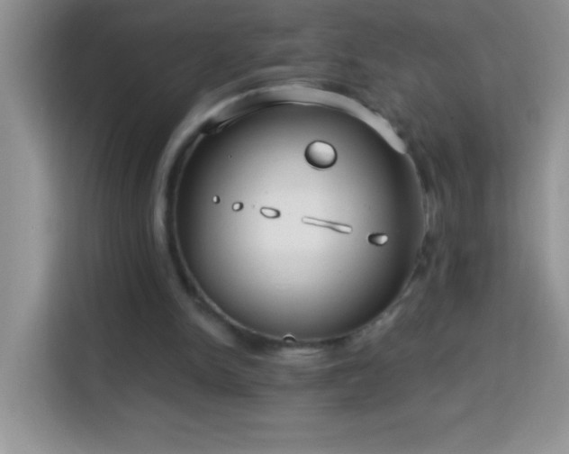 X0000114160150200910081400