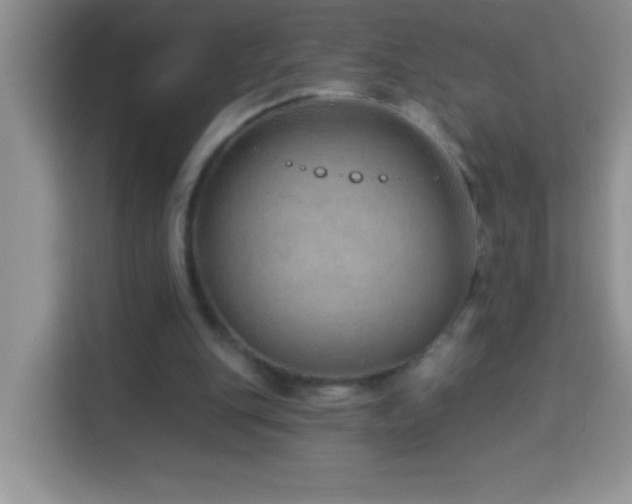 X0000114160151200910081400