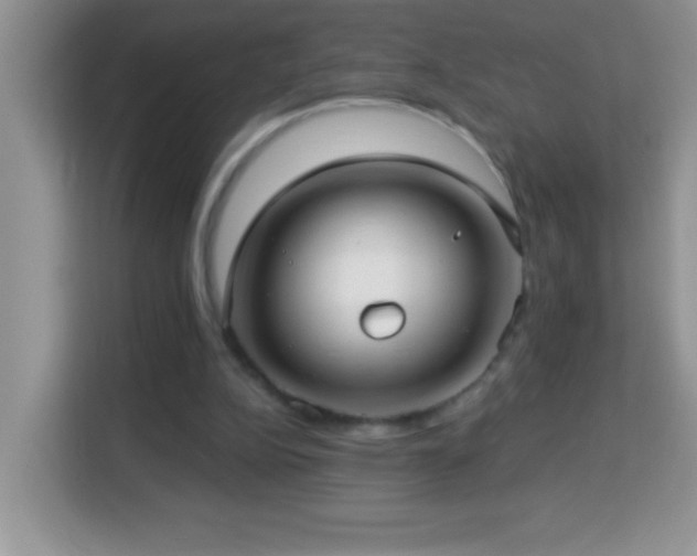 X0000114160152200910081400