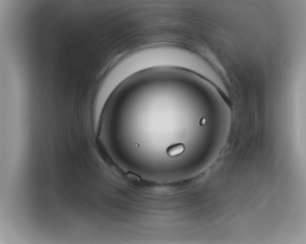 X0000114160154200910081400