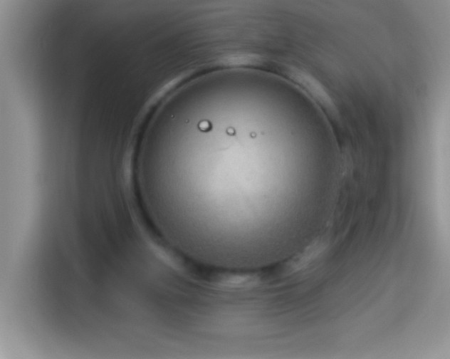 X0000114160155200910081400