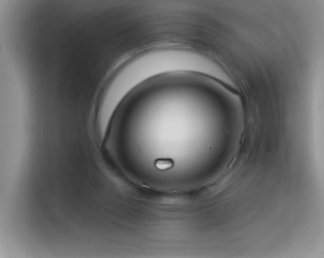 X0000114160160200910081400