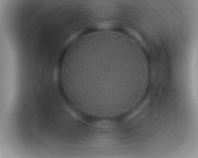 X0000114160161200910081400