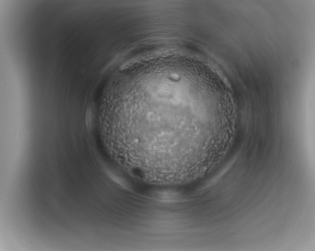 X0000114160165200910081400