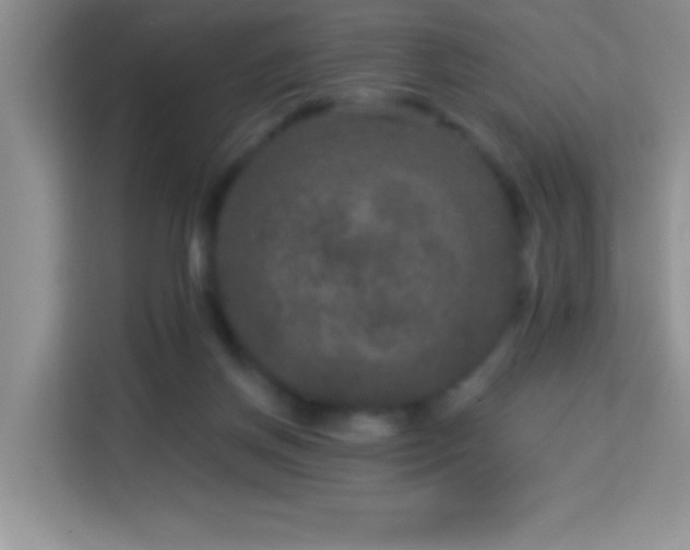 X0000114160166200910081400