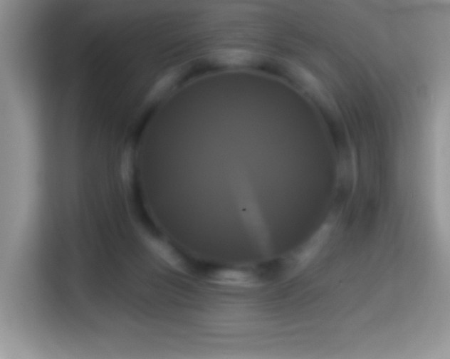 X0000114160167200910081400