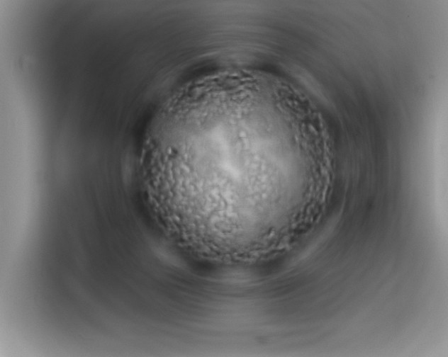 X0000114160169200910081400