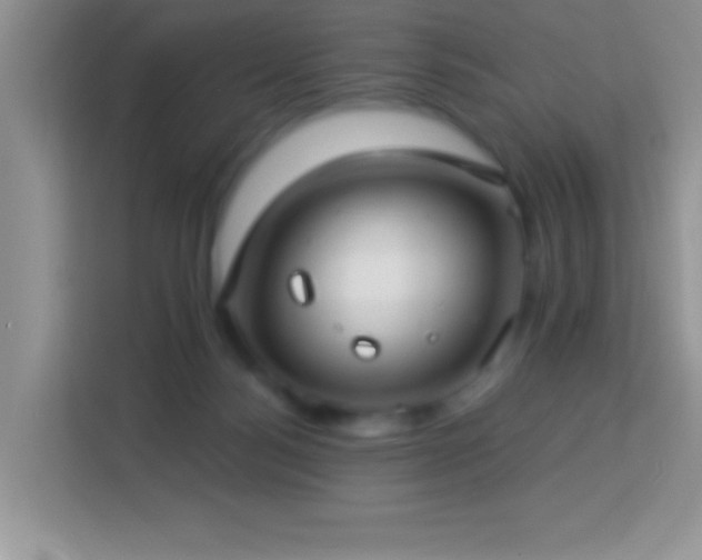 X0000114160172200910081400