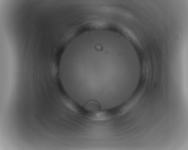 X0000114160173200910081400