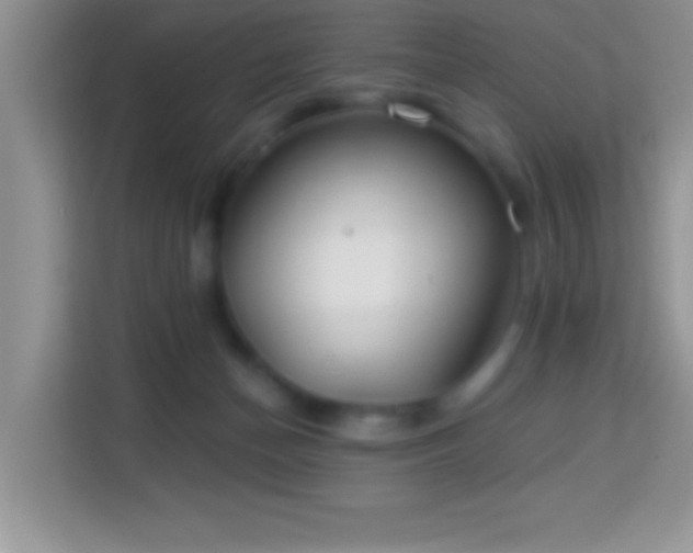 X0000114160174200910081400