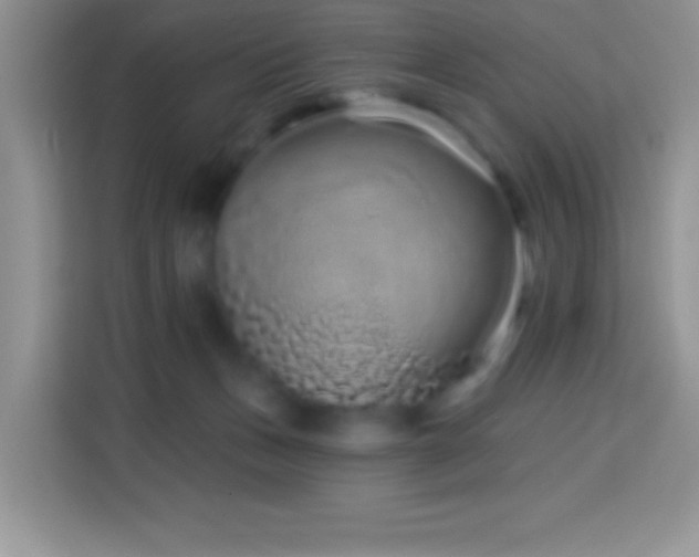 X0000114160175200910081400