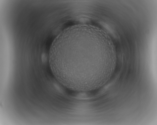 X0000114160177200910081400