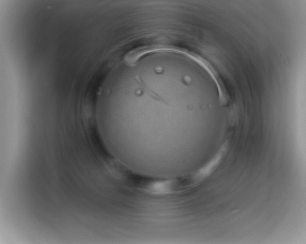 X0000114160178200910081401