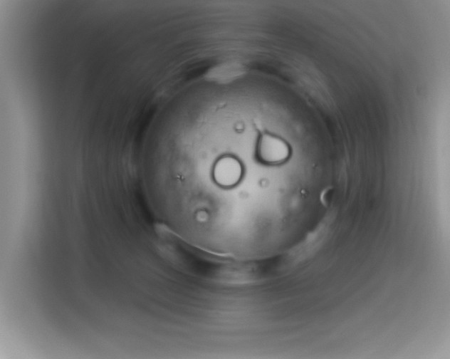 X0000114160179200910081401