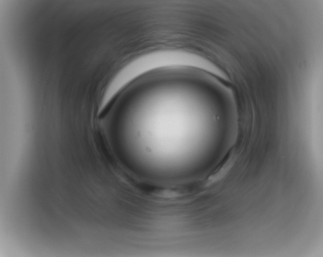 X0000114160180200910081401