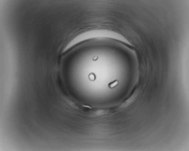 X0000114160184200910081401