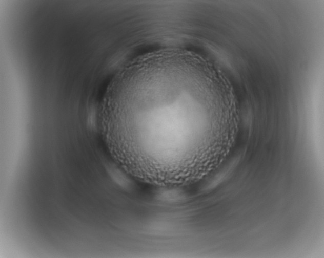 X0000114160185200910081401