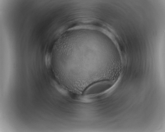 X0000114160191200910081401