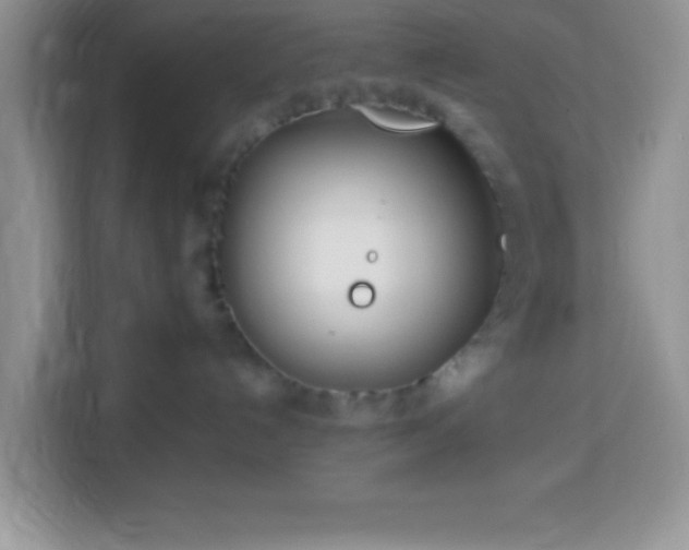 X0000114160192200910081401