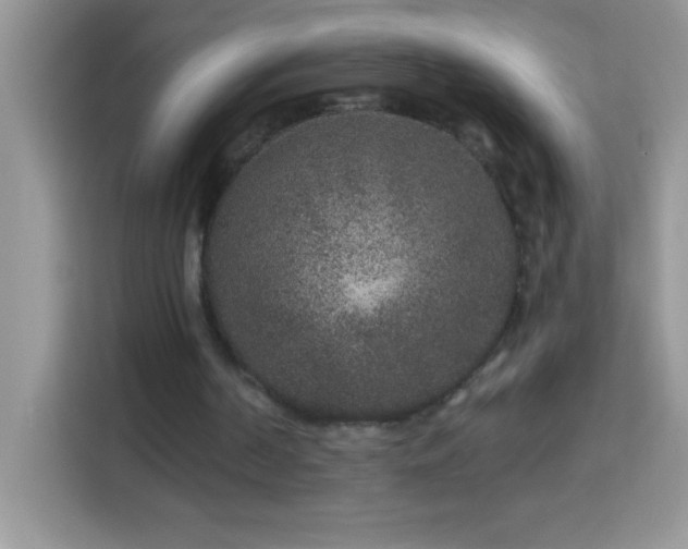 X0000114160194200910081400