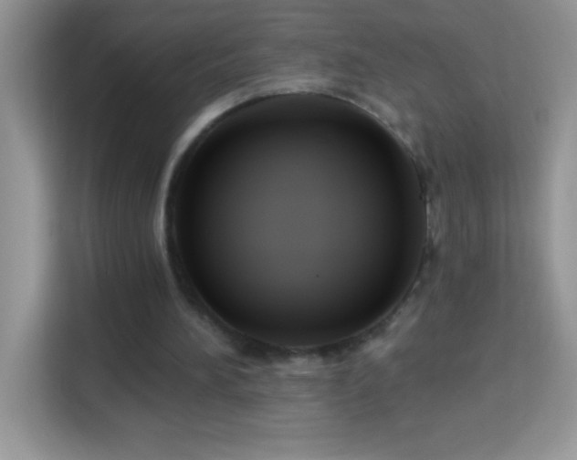 X0000114160196200910081400