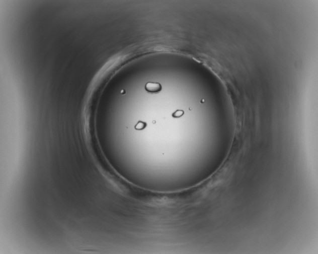 X0000114160197200910081400