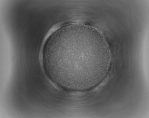 X0000114160198200910081400